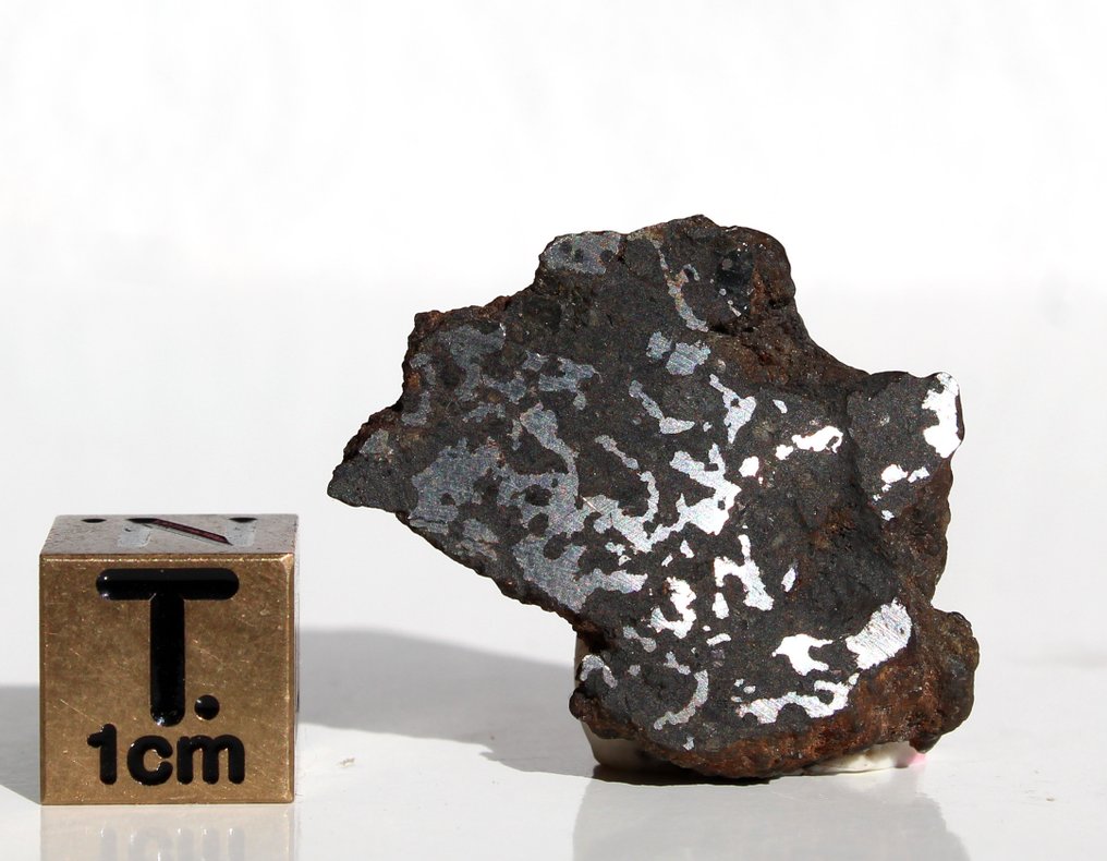 Ωραία ένθεση κρύσταλλος από Mesosiderite NWA 16544 endcut. Μετεωρίτης πέτρας-σιδήρου - 5.91 g - (1) #2.1