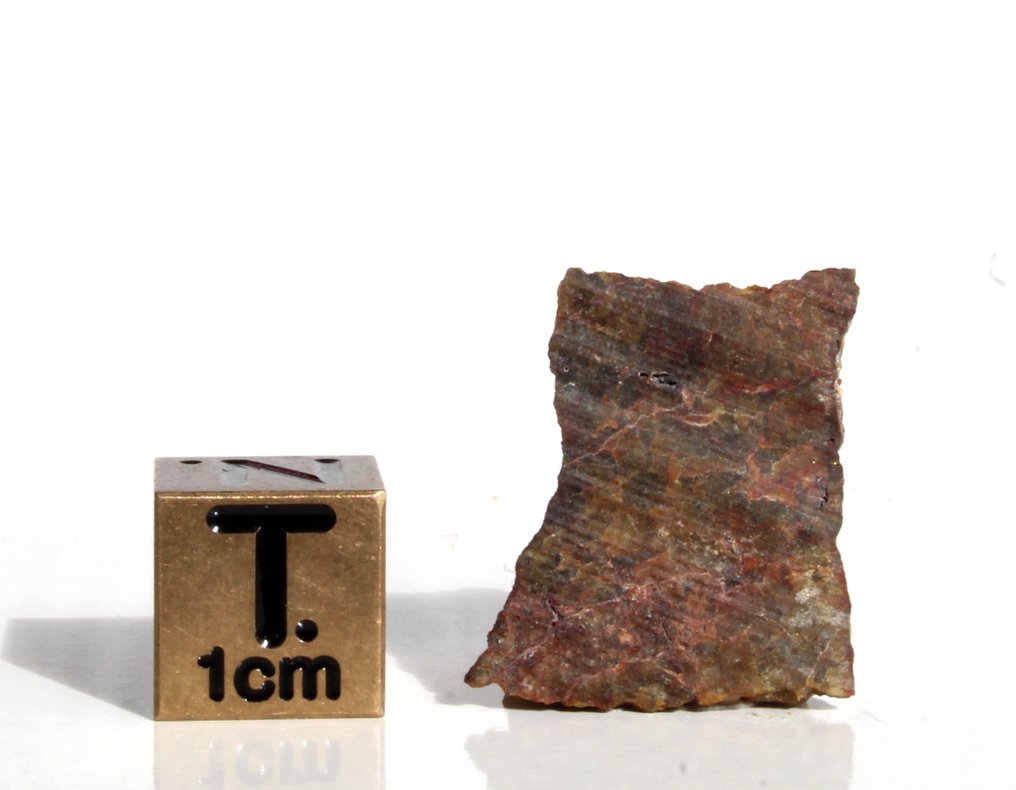 Unique Diogenite NWA 15627 slice with Coarse-grained protogranular - 1.27 g - (1) #1.0