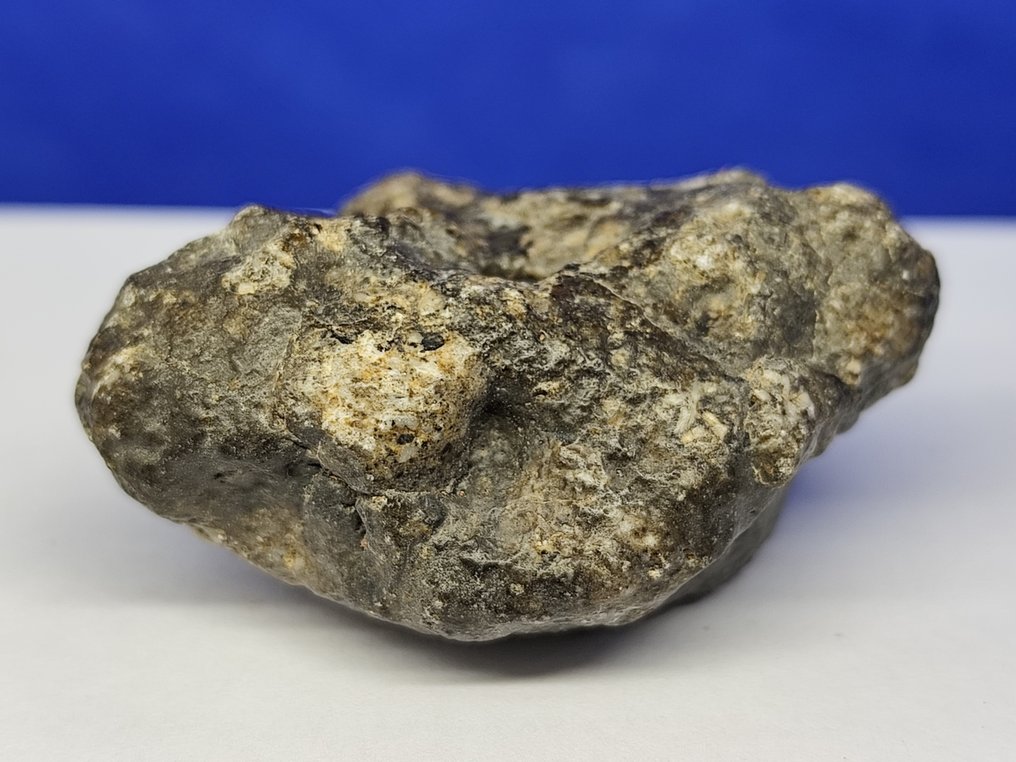 Csodálatos!!! EUCRITE MELT BRECCIA. -METEORIT achondrite a VESTA-tól- "NWA 15658" (Szahara, 2022). - 77.4 g #2.1