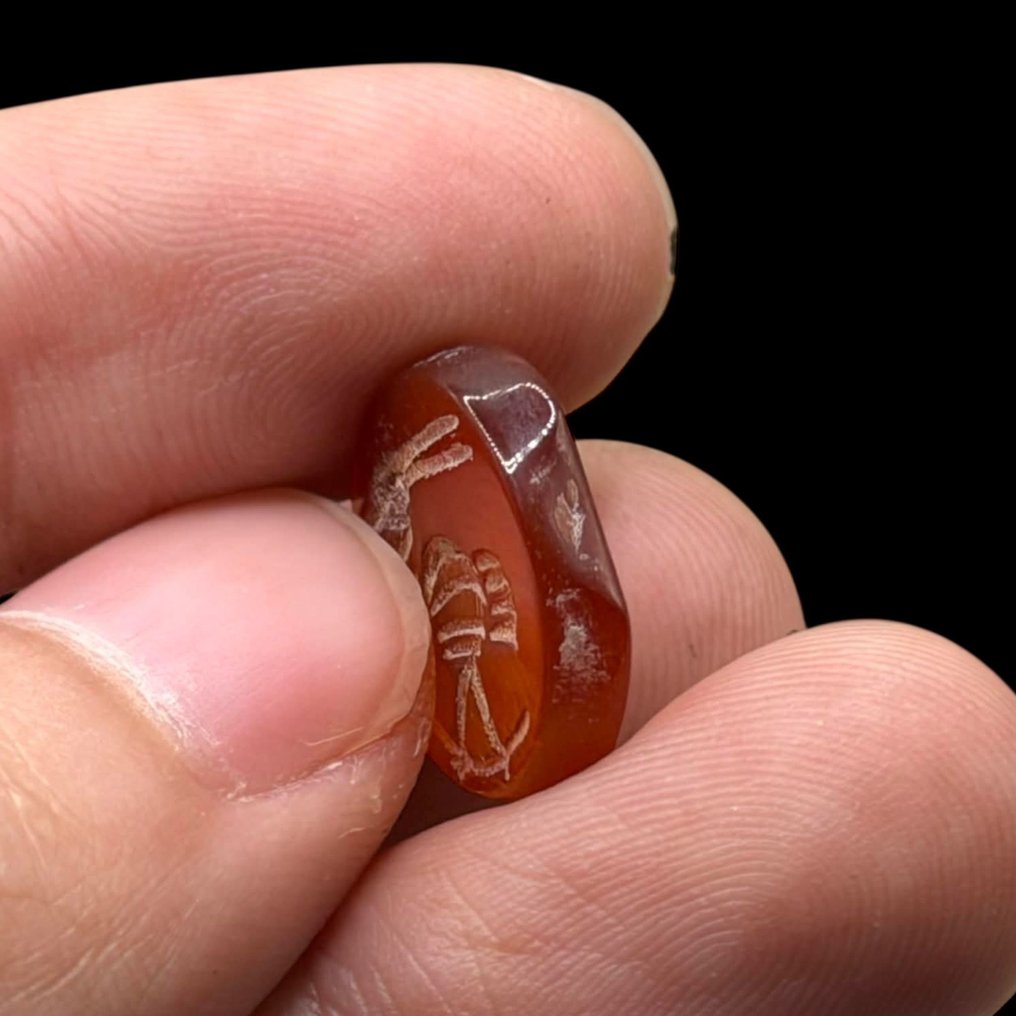 Roma antica Corniola Intaglio Cabochon  (Senza prezzo di riserva) #4.3