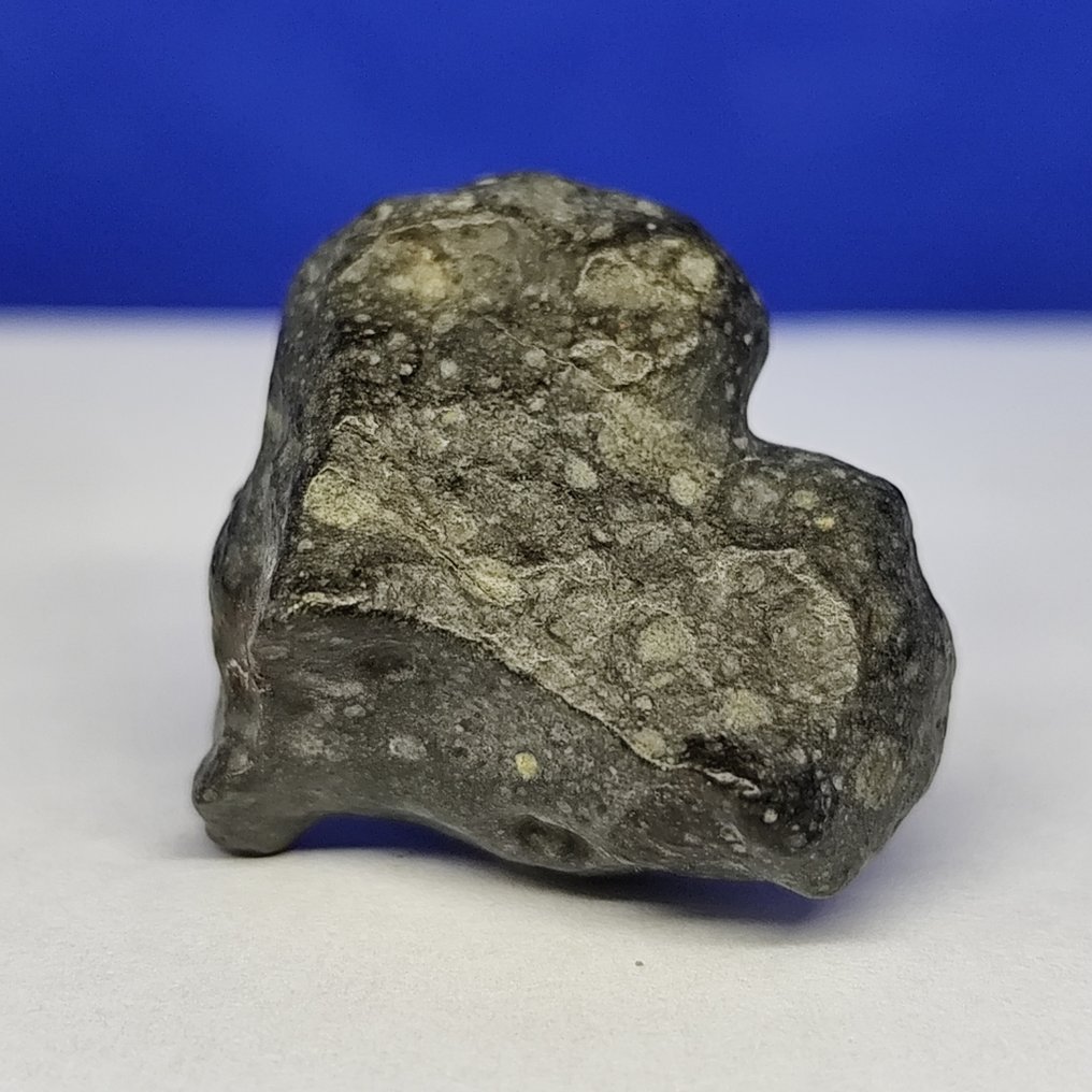 -Only 1959 g in the world- RUMURUTI Chondrite R3-6. NWA 13683 (Sahara, 2018) Without reserve price! - 10 g #1.0