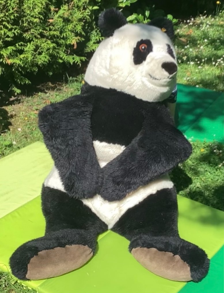 Steiff - Teddy bear 0438 / Panny - 1950-1960 - Germany #1.0