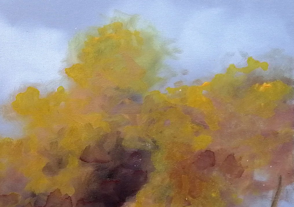 Guido Borelli - bosco uno #2.1