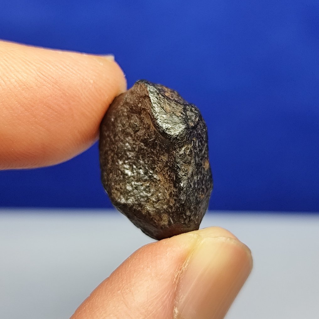 铁陨石 GIBEON（纳米比亚，1836 年） Complete Stone。稀有出售。 - 17.6 g #2.1