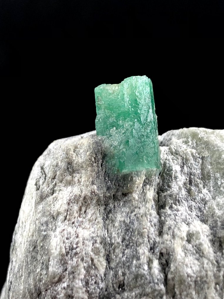 Szmaragd Okaz - Wysokość: 44 mm - Szerokość: 40 mm- 63 g - (1) #3.2