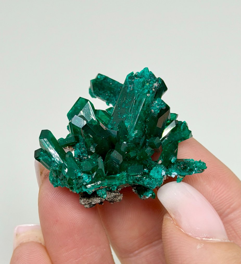 Incredible DIOPTASE from N'tola Mine, Mindouli, DR Congo Crystal cluster - Height: 3.5 cm - Width: 3.5 cm- 14 g #1.0