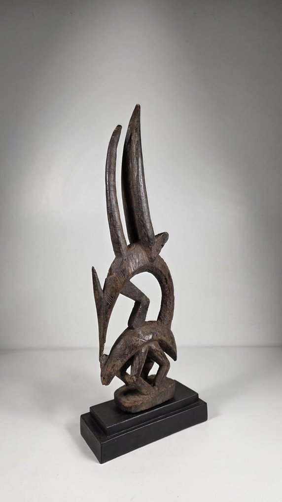 Cimier i træ - Tiwara - Mali  (Ingen mindstepris) #3.2