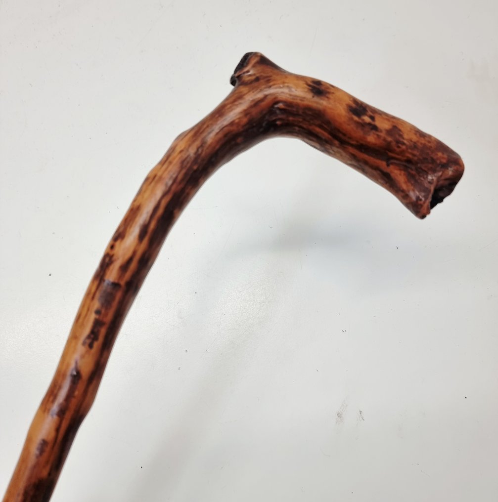 Μπαστούνι - Ξύλο #2.1