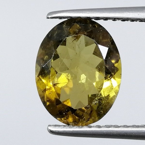 绿色, 黄色 电气石 - 2.49 ct - 西班牙宝石学院(IGE) #1.0