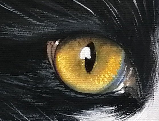 Danka Weitzen - michu pichu #1.0