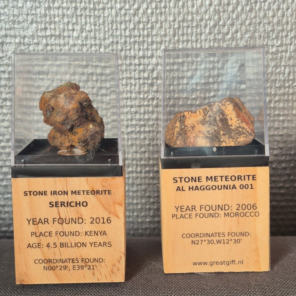 Συλλογή μετεωριτών σε έκθεση. 2 γνήσιοι μετεωρίτες. - Ύψος: 10 cm - Πλάτος: 10 cm - 75 g - (2) #1.0