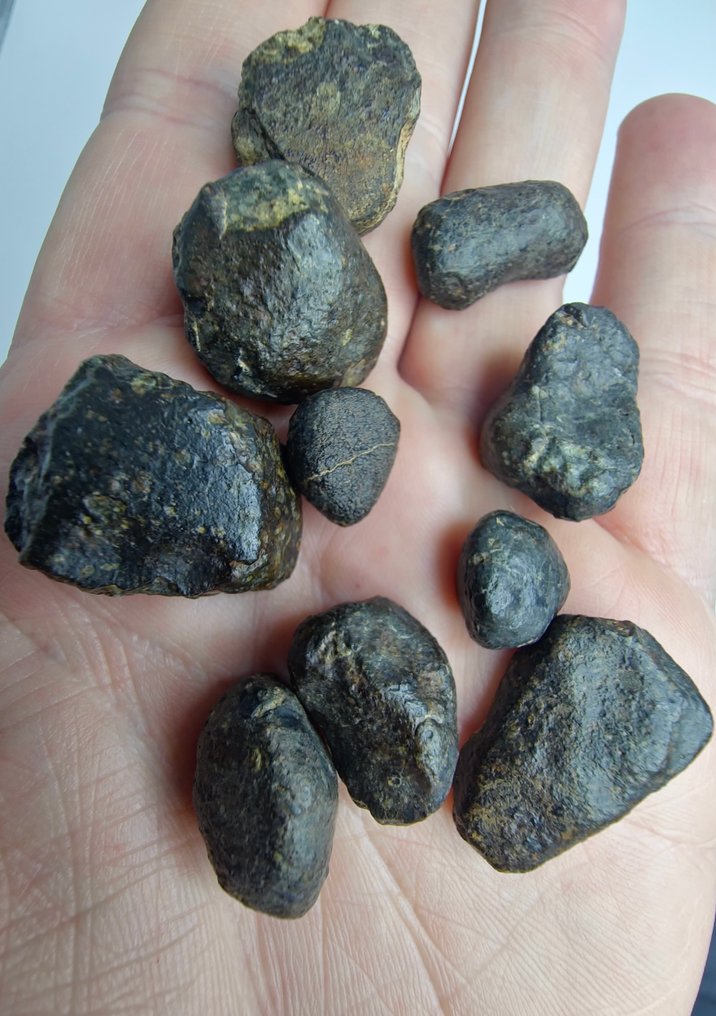 Μετεωρίτης NWA 869, L3-6. Ο πιο διάσημος χονδρίτης. - 62.13 g #1.0