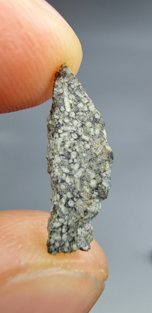 火星陨石（舍尔戈石，橄榄石含量丰富） NEA 053. - 0.35 g - (1) #1.0