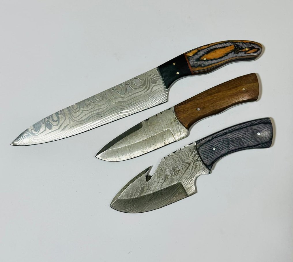 厨刀 - 厨房用刀 -  厨房桌子刀（0109） - 美国异国木柄与折叠钢 - 美国 - 厨房用刀 #2.1