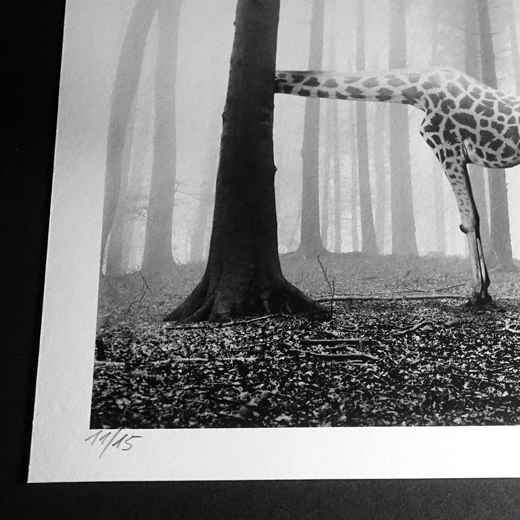 Frank Machalowski - tierwald#124 #3.2