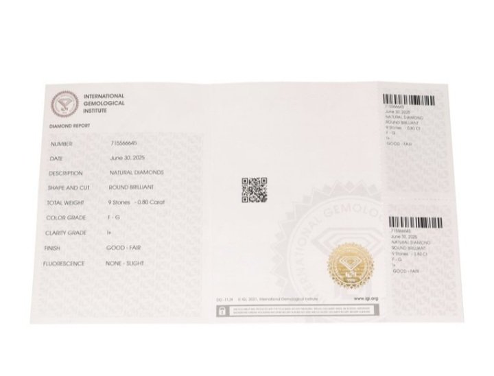 9 pcs 钻石  (天然)  - 0.80 ct - 圆形 - F, G - I1 内含一级 - 国际宝石研究院（IGI） #2.1