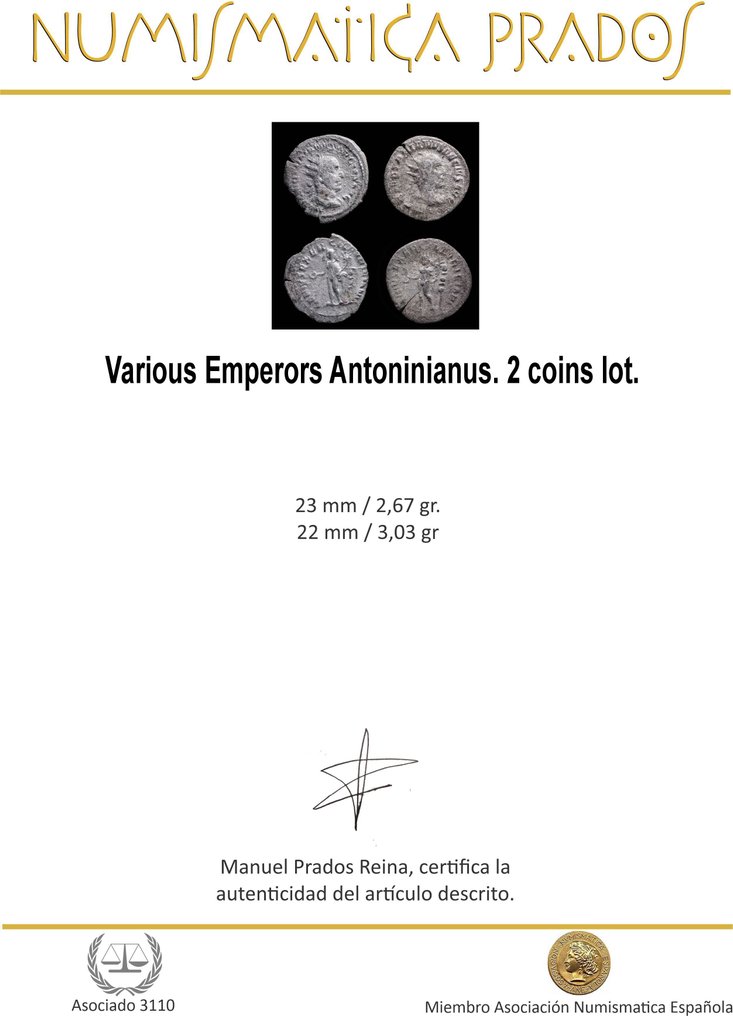 罗马帝国 Antoninianus Lot 2 coins  (没有保留价) #1.0