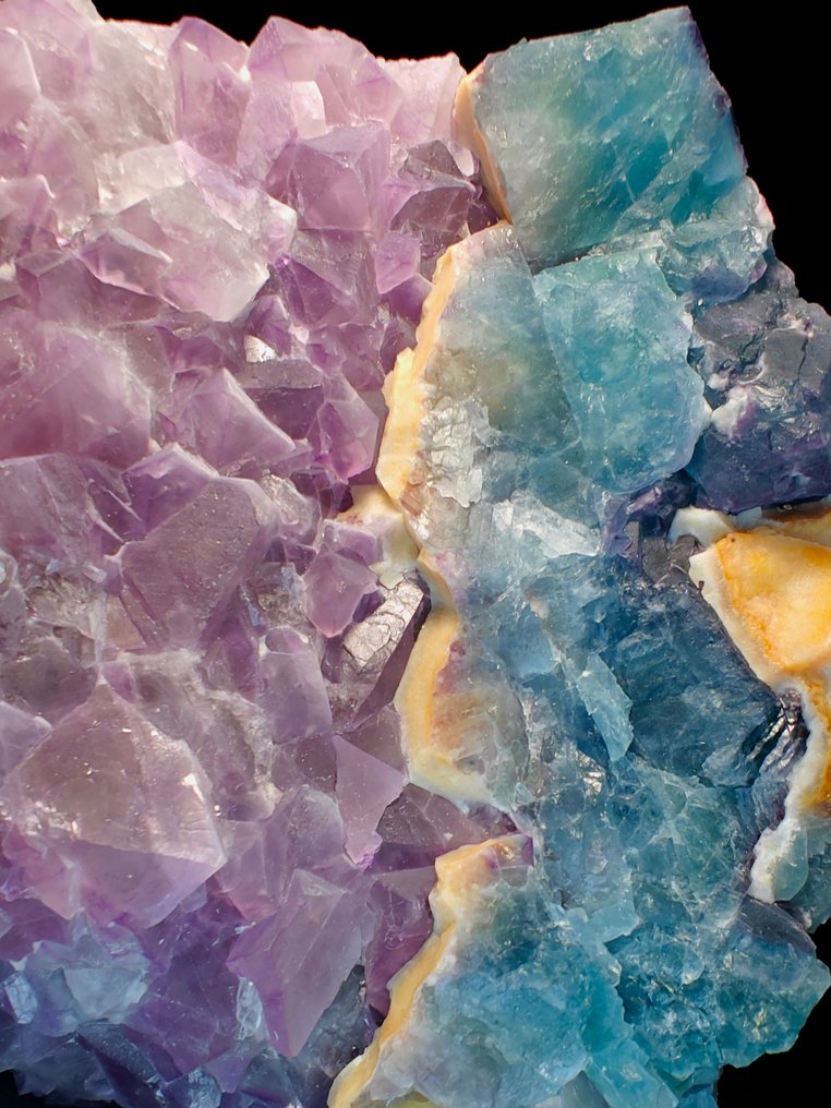 萤石双色紫罗兰蓝 矩陣晶體 - 高度: 14 cm - 闊度: 12 cm- 1700 g #1.0