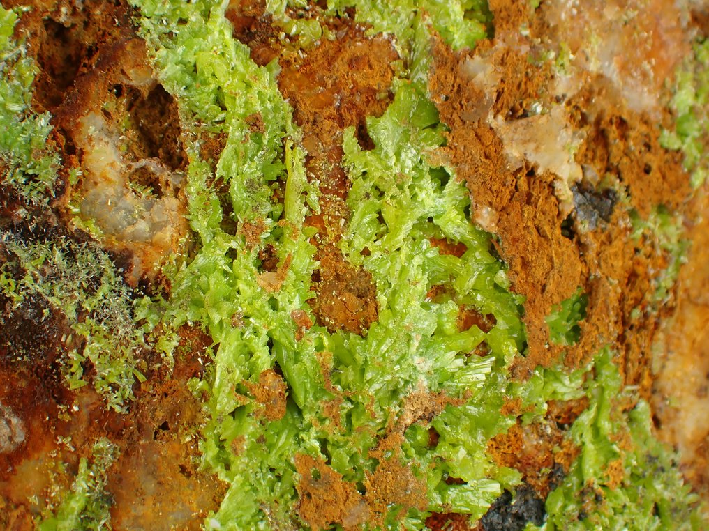Big Pyromorphite Κρύσταλλοι στη μήτρα - Ύψος: 105 mm - Πλάτος: 80 mm- 229 g #3.2