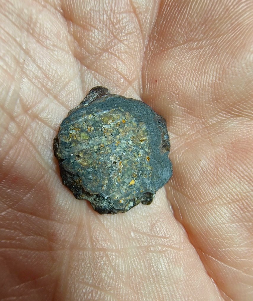 Λοδρανίτης μετεωρίτης. NWA 17905. Πρωτόγονος αχονδρίτης, - 1.76 g #3.2