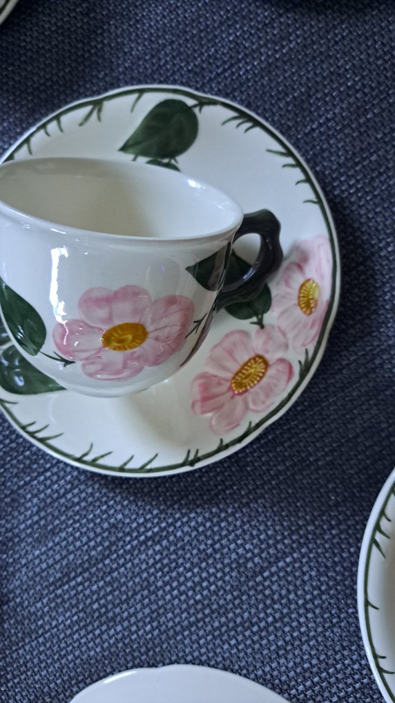 德国唯宝 - 咖啡套装 (21) - Wild-Rose - 瓷 - 极佳的状态 #3.2
