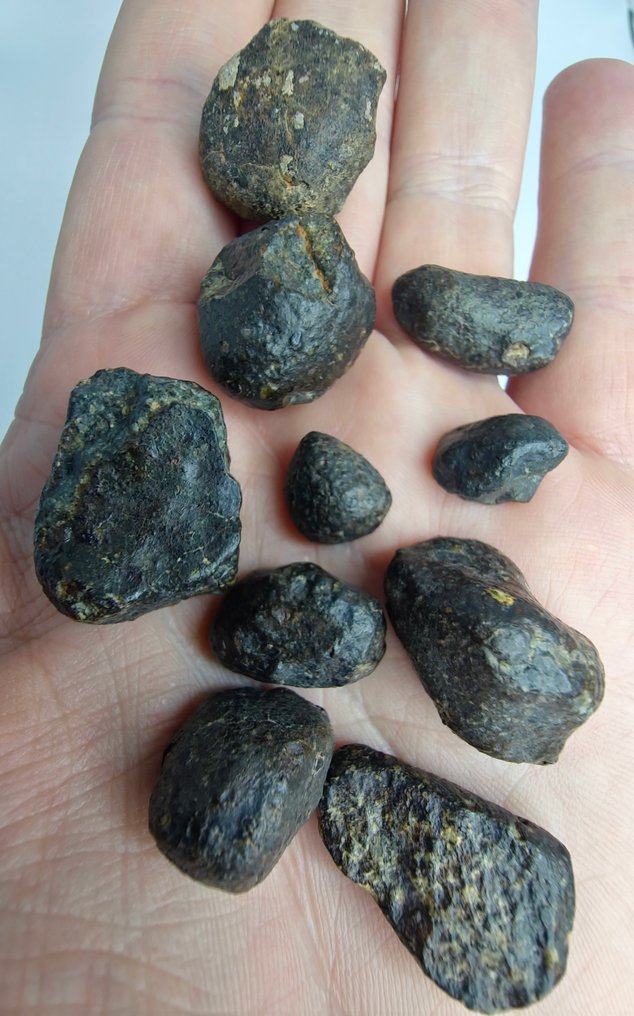 Μετεωρίτης NWA 869, L3-6. Ο πιο διάσημος χονδρίτης. - 62.13 g #1.0