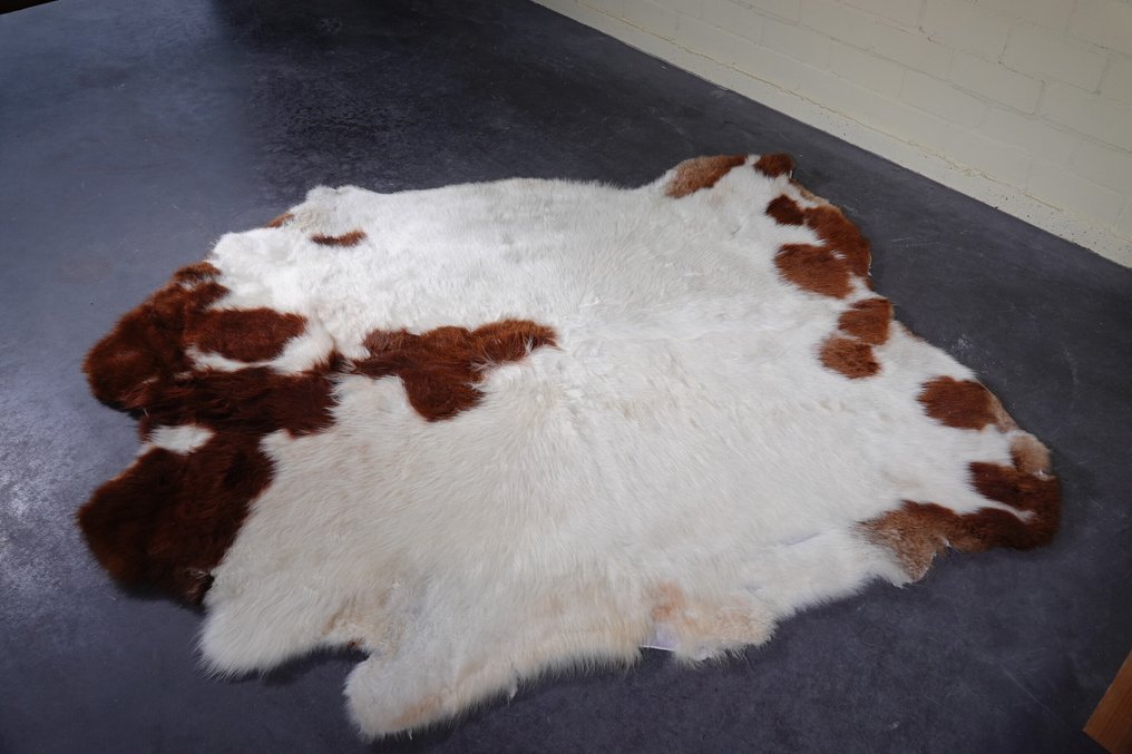 牦牛皮 頭骨 - Bos grunniens - 170 cm - 1 cm - 155 cm- 非《瀕臨絕種野生動植物國際貿易公約》物種 #1.0