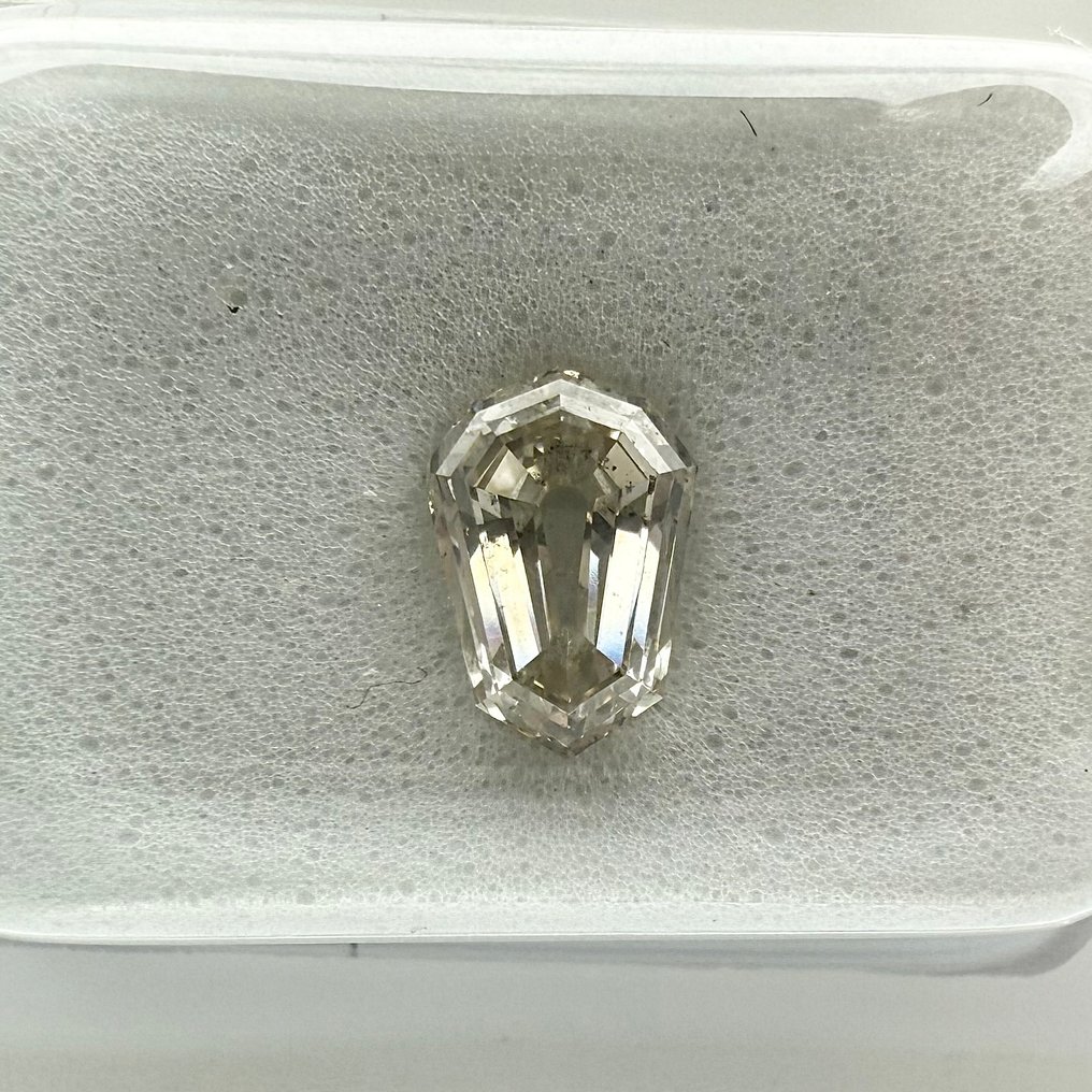 没有保留价 - 1 pcs 钻石  (天然)  - 1.19 ct - 八角形 - I - SI1 微内含一级 - Gemewizard宝石实验室（GWLab） #1.0