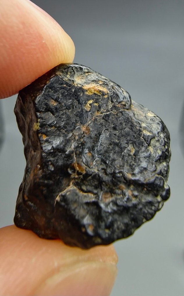 Meteorito. CVoxA3. Carbonáceo (NWA 17324). - 6.81 g - (1) #2.1