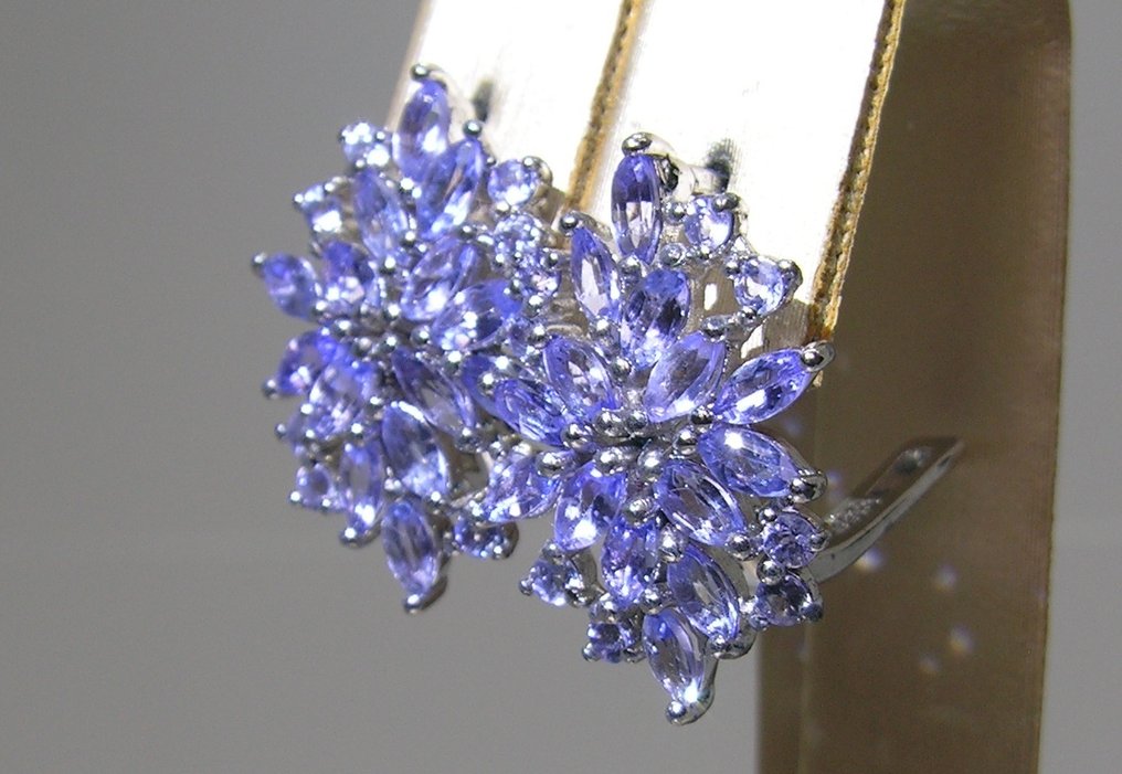 Tanzanit Øredobber - Høyde: 20.3 mm - Bredde: 14 mm- 5 g - (2) #4.3