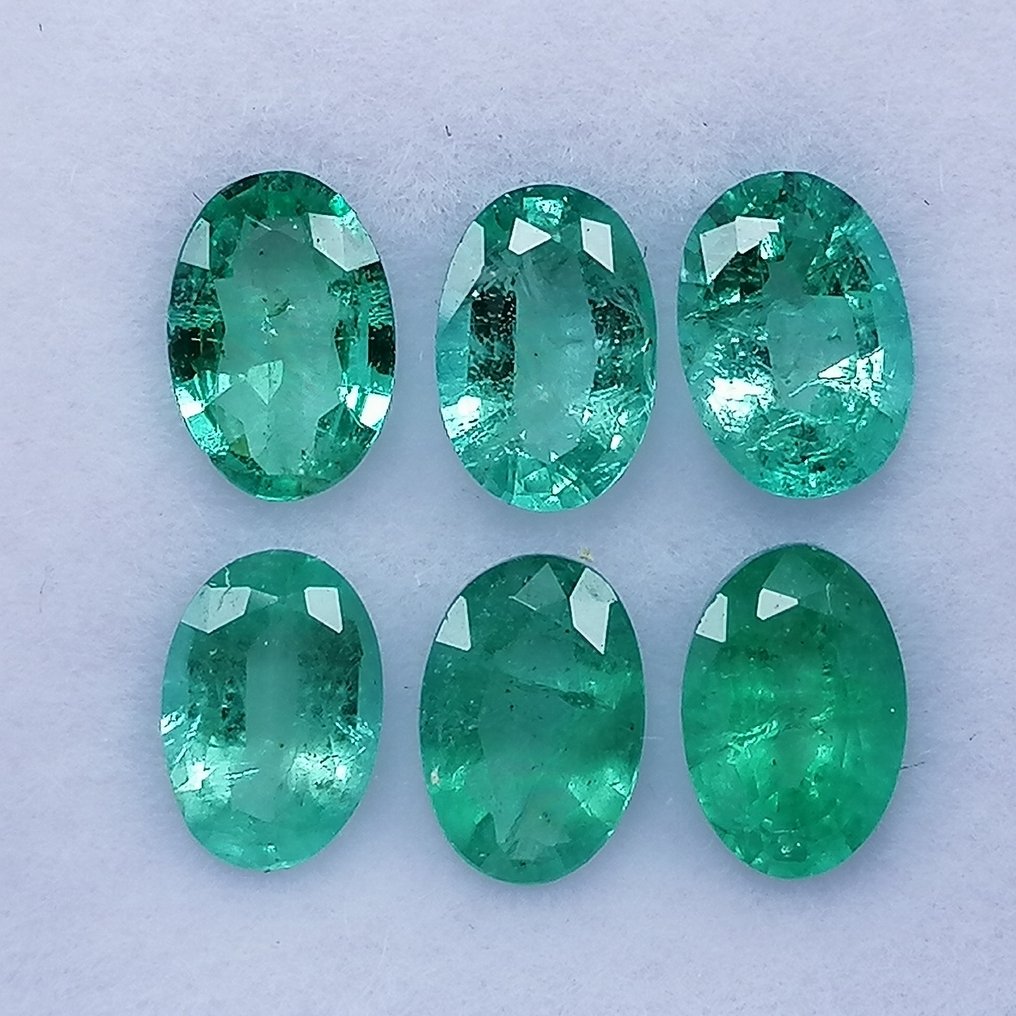 6 pcs  绿色 祖母绿  - 2.52 ct - 西班牙宝石学院（IGE） - 油品次级 #1.0
