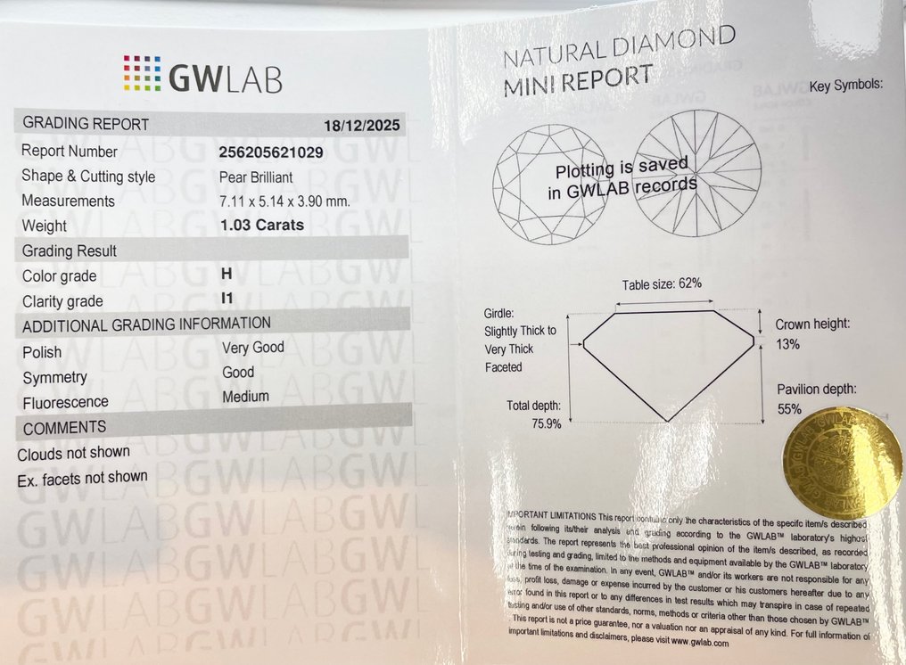 χωρίς τιμή ασφαλείας - 1 pcs Διαμάντι  (Φυσικό)  - 1.03 ct - Αχλάδι - H - I1 - Gemewizard Gemological Laboratory (GWLab) #2.1
