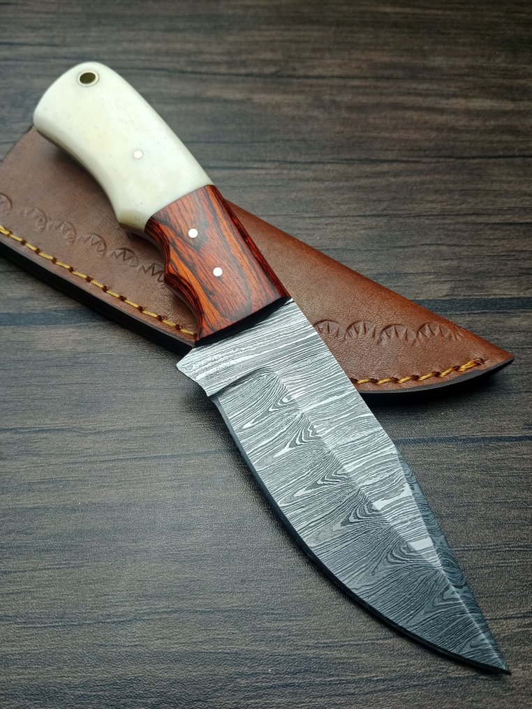 Obsidian - 厨刀 - Kitchen knife set -  介绍 Obsidian 定制系列厨师刀，传统工艺制作 - 专用钢 - 法国 #2.1