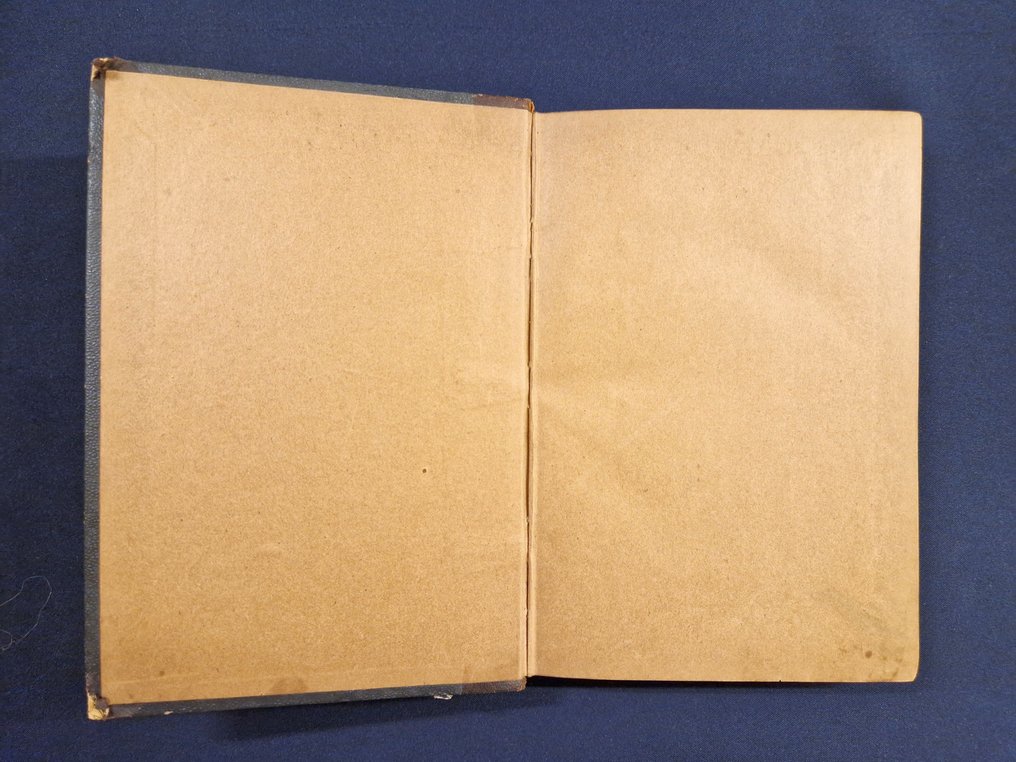 Robert Walser - Geschwister Tanner - 1907 #3.2