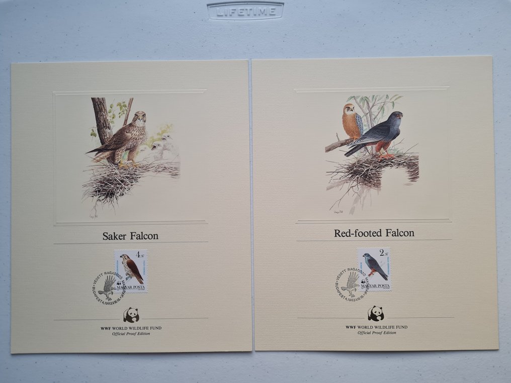 国际  - WNF - WWF 收藏特别卡片与信封 #4.3