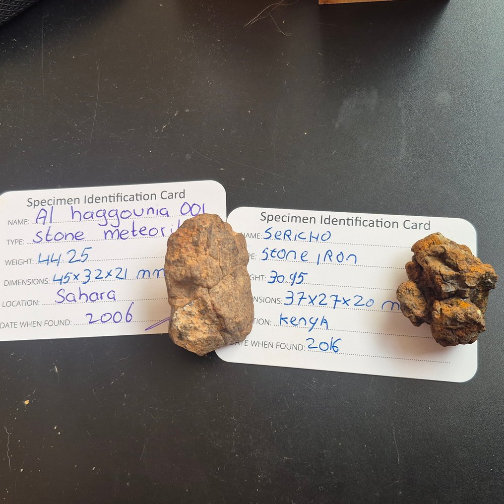 Συλλογή μετεωριτών σε έκθεση. 2 γνήσιοι μετεωρίτες. - Ύψος: 10 cm - Πλάτος: 10 cm - 75 g - (2) #4.3