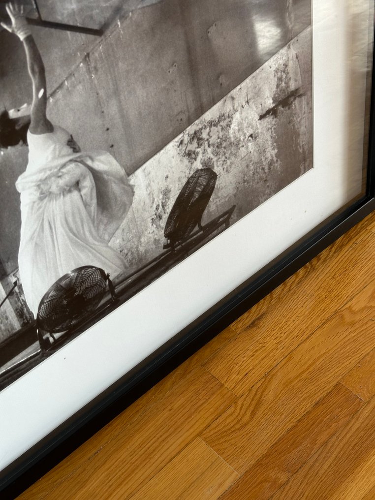 Liliana Alves - procura #00 #4.3