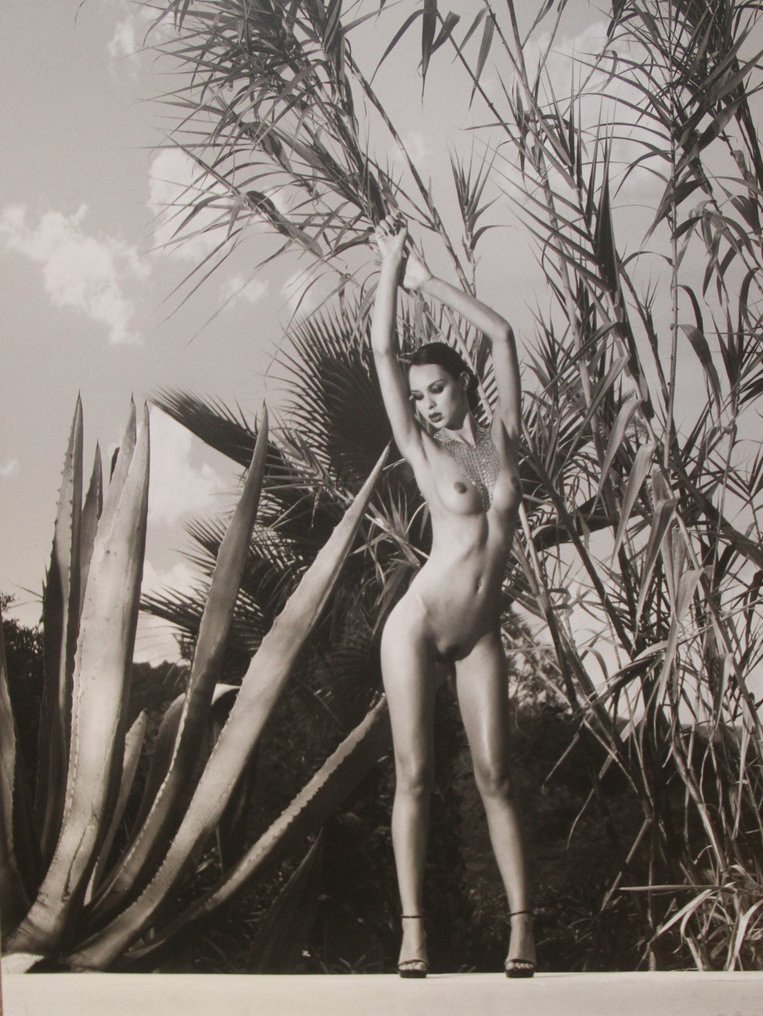 Frank de Mulder - Une brune piquante #3.2