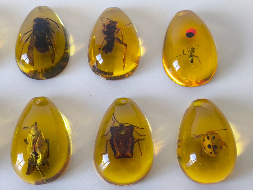 Temasamling - 10 Insekt i ravharpiks #2.1