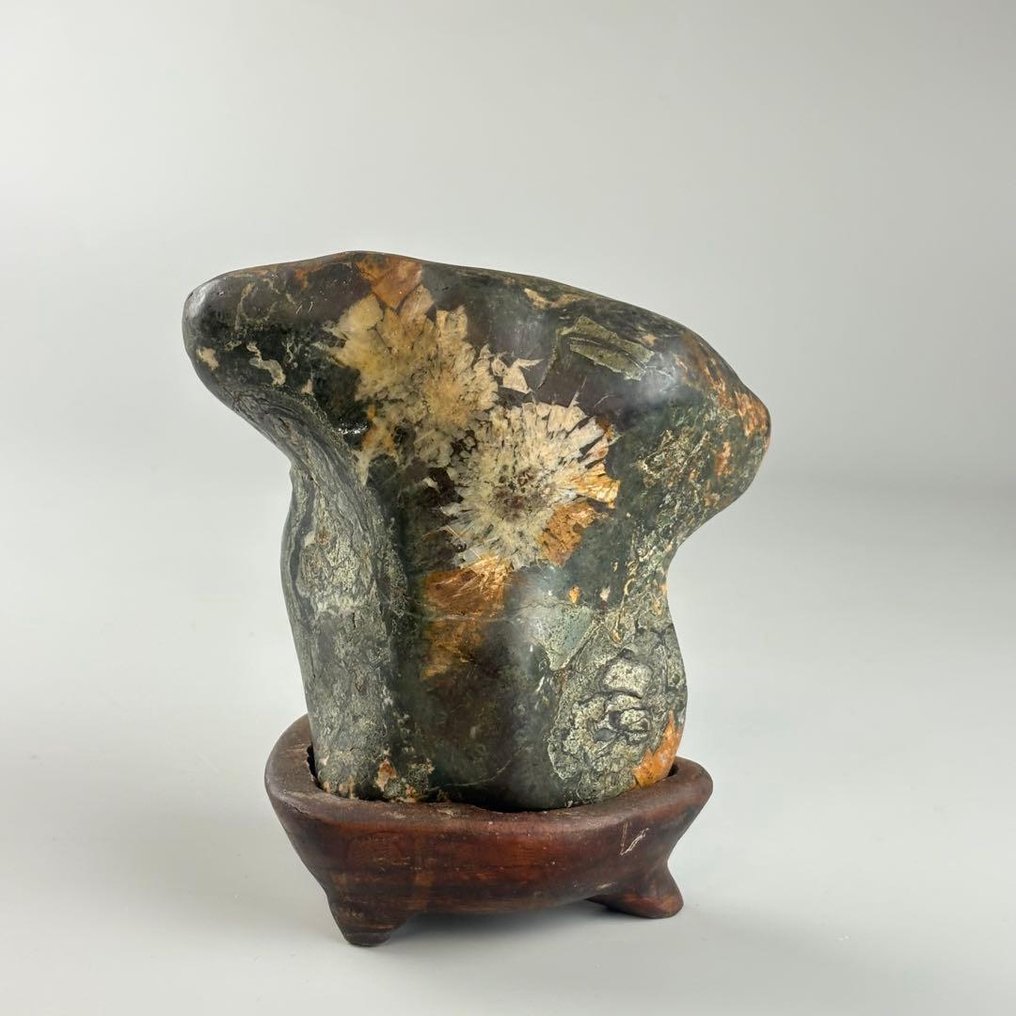 日本水石配菊花水晶形态与木制底座 - 20世紀早期（一戰期） #1.0