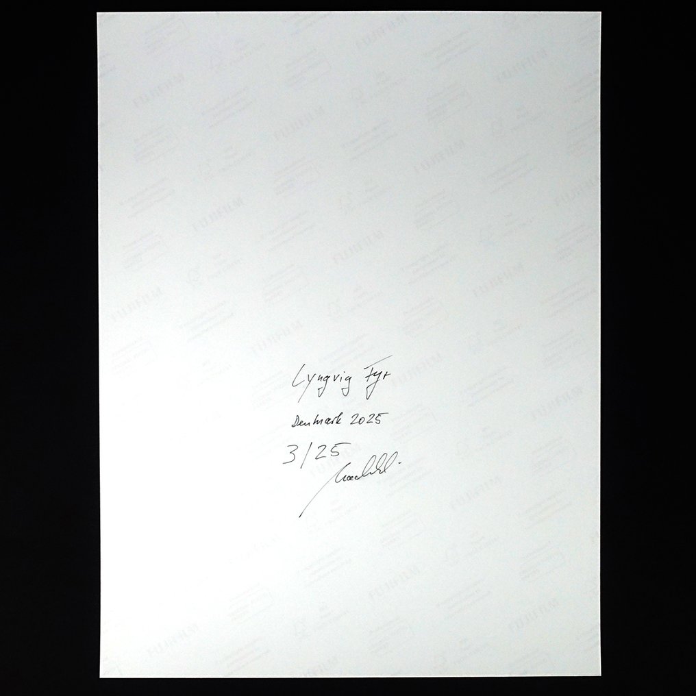 Frank Machalowski - Lyngvig Fyr #2.1