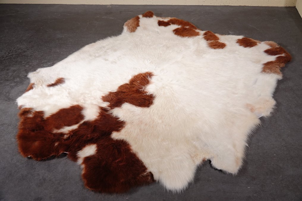 牦牛皮 頭骨 - Bos grunniens - 170 cm - 1 cm - 155 cm- 非《瀕臨絕種野生動植物國際貿易公約》物種 #1.0