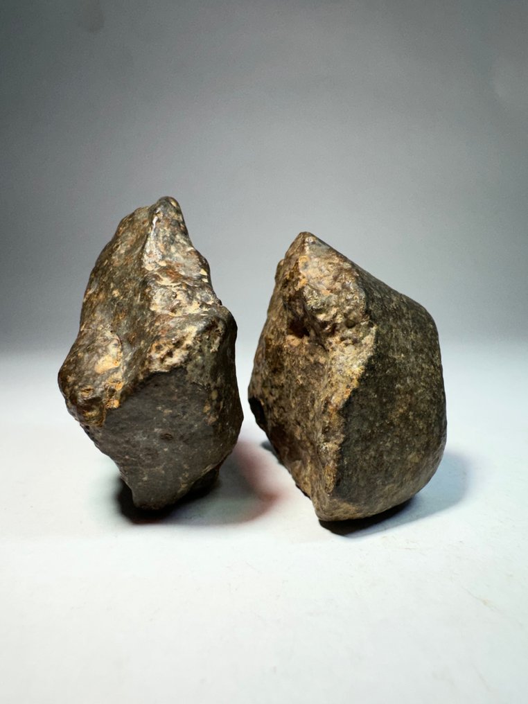 Σετ NWA xxx μη ταξινομημένο με όμορφο σχήμα. Μετεωρίτης χονδρίτης - 137 g - (2) #3.2