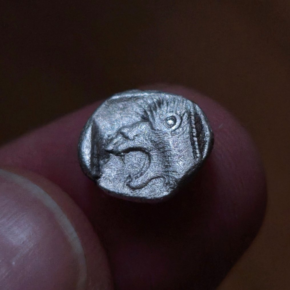 Mysia, Kyzikos Diobol circa 525-475 BC.  (χωρίς τιμή ασφαλείας) #1.0
