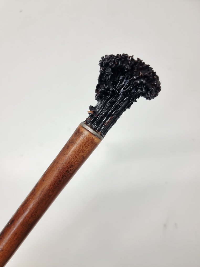 Walking stick - Wood, gewei #1.0