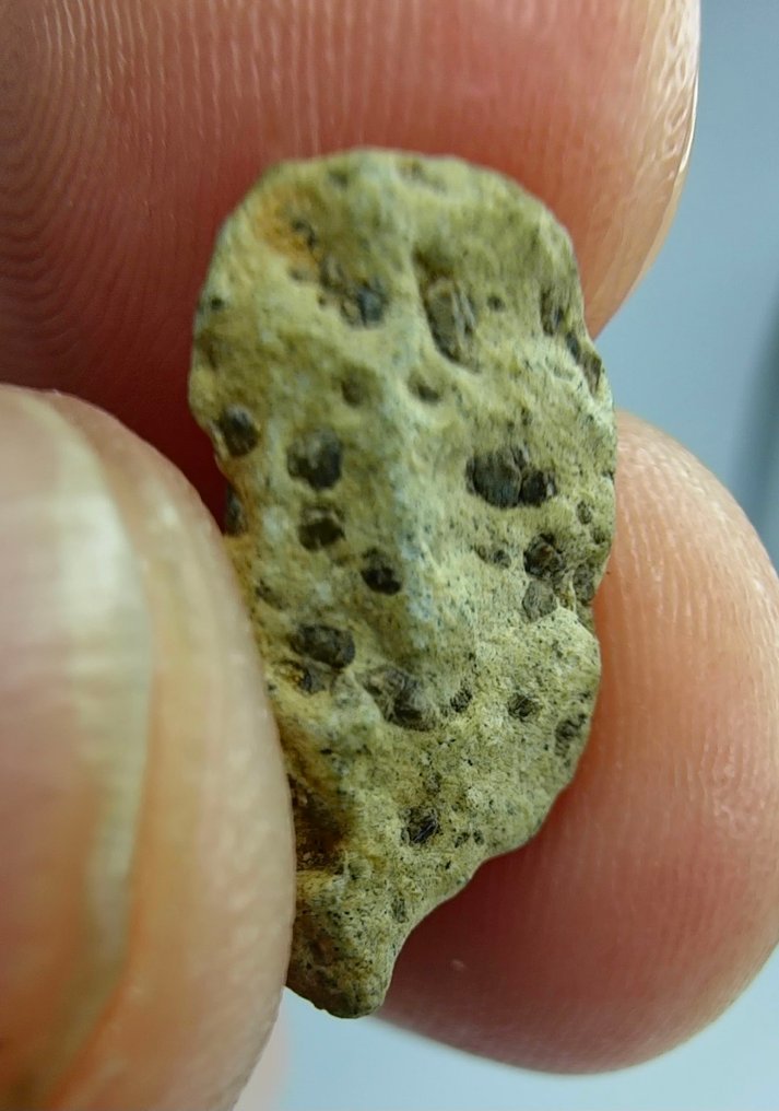 火星陨石 Tarkint 001. 橄榄质-相变辉石陨石。 - 0.95 g - (1) #1.0