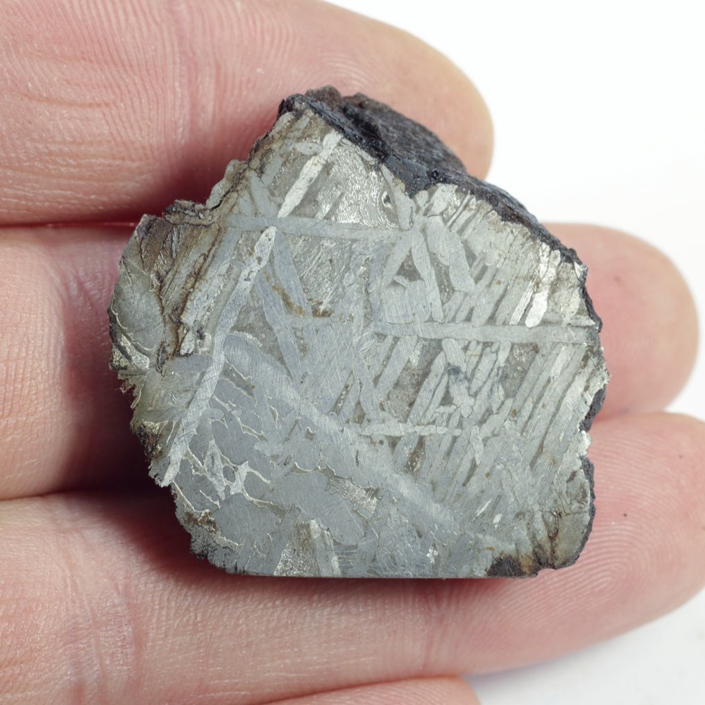 Aletai "No Reserve Price" Iron meteorite - 47.3 g #1.0