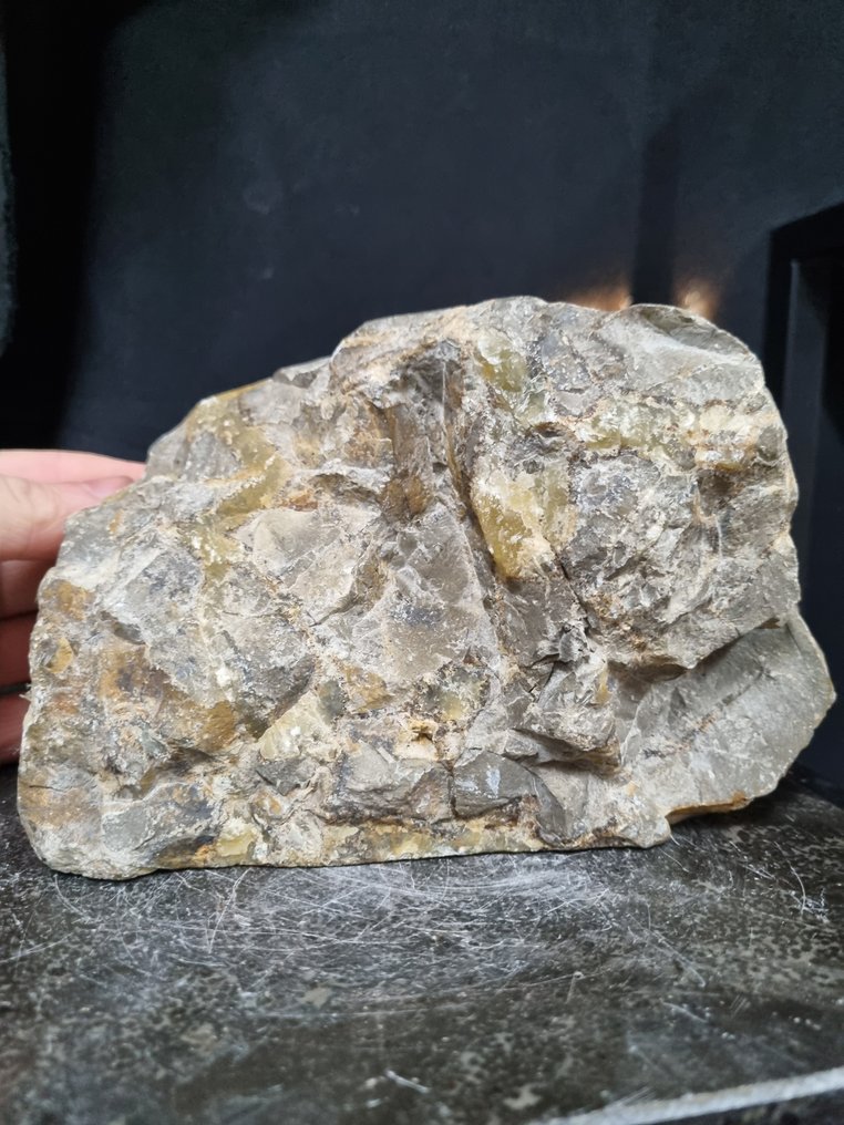 XXL Septaria, Septarienskulptur - Höhe: 125 mm - Breite: 200 mm- 3190 g #4.3