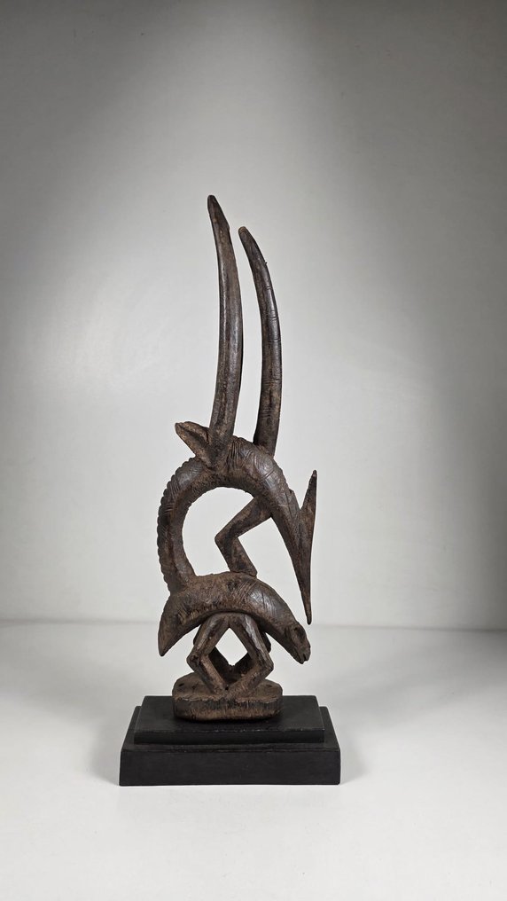 Cimier i træ - Tiwara - Mali  (Ingen mindstepris) #2.1