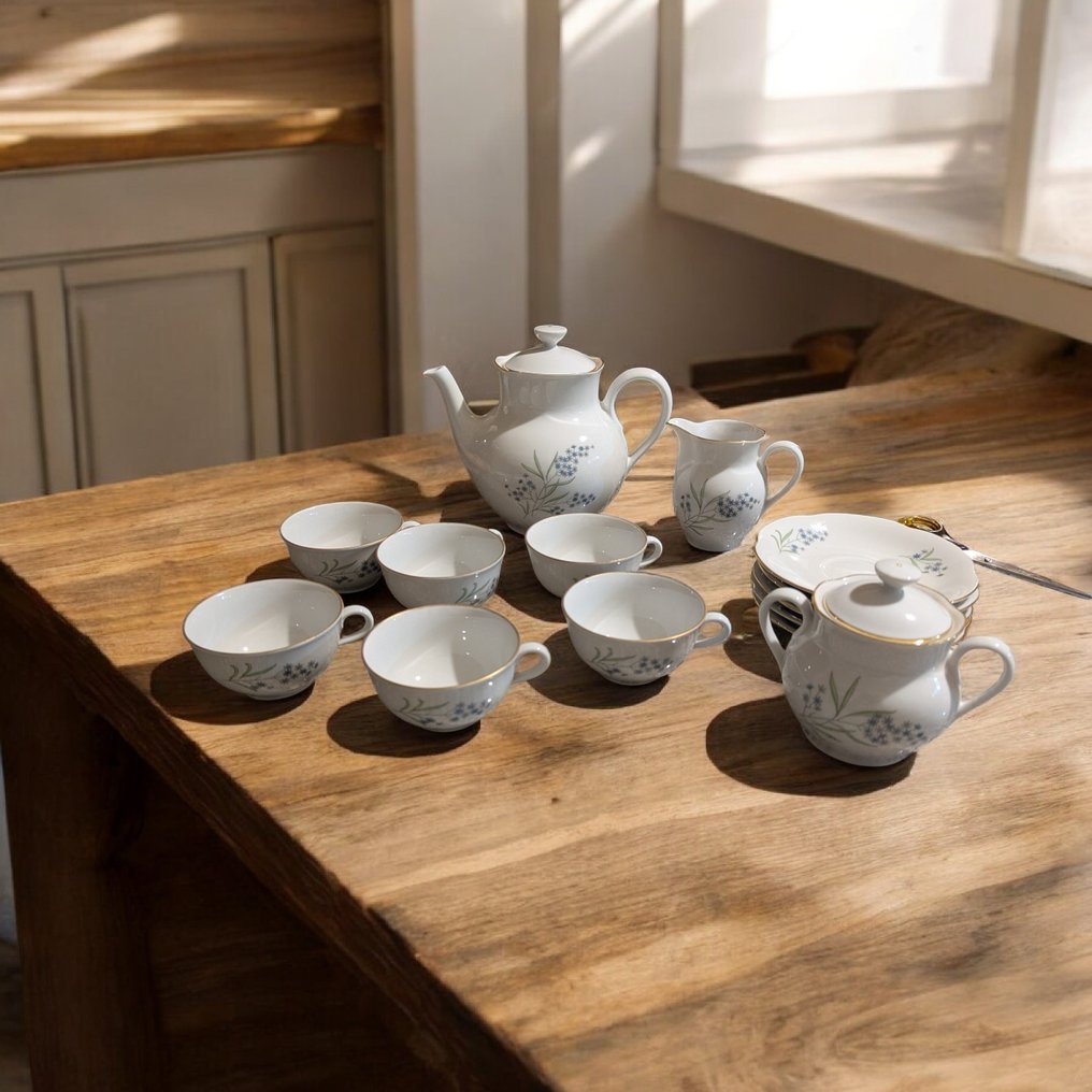 Richard Ginori - Teeservice (13) - Porzellan #1.0